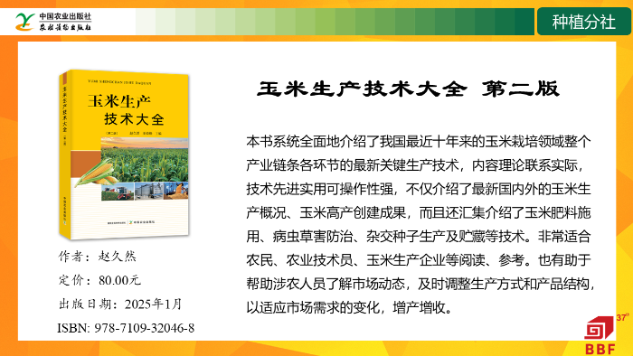 幻灯片15