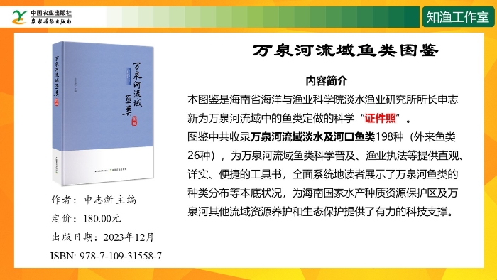 幻灯片14